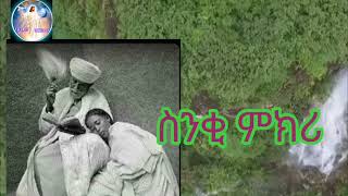 🔴ስንቂ ምክሪ🌿TsegaChannel21 [upl. by Aicargatla]