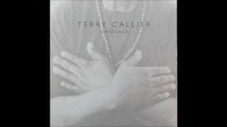 Terry Callier  Coyote Moon [upl. by Eatnuhs]