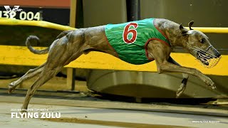 20240318  Shepparton Cup Heat 5  FLYING ZULU [upl. by Ahsoek]