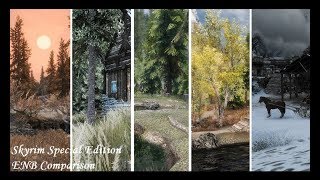 Skyrim SE  ENB Presets Comparison [upl. by Okihcas76]