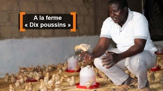 Burkina Faso  A la ferme « Dix poussins » [upl. by Alliuqal]