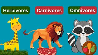 Herbivores Carnivores and Omnivores Animal  Types of Animal [upl. by Wes541]