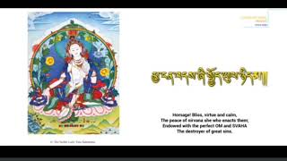 Dolma Mantra dalailama buddhistmantra buddhism [upl. by Ydroj]