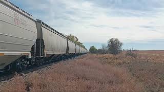 UP 8645 Grain Train N in Murray NE 102624 [upl. by Aholla351]