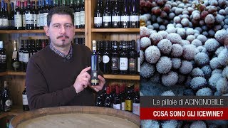 Cosa sono gli IceWine [upl. by Ybbor101]