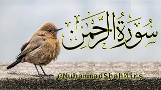 Surah Ar Rahman سورۃالرحمن  Quran Tilawat  With Arabic Text HD  55 beautiful سورۃالرحمن [upl. by Rubie]