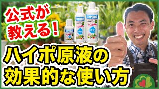 【園芸の基本】【プランター栽培】公式が徹底解説！ハイポネックス原液の効果的な使い方とは！？〜ロベリアの切り戻し剪定を例に解説〜【園芸塾】【ハイポネックス】 [upl. by Galateah]