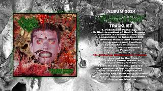 Mephitic Torso  A Gory Vortex Of Psychosis And Symbiotic Aberrations FULL ALBUM  VOMITNOISE [upl. by Yslehc]