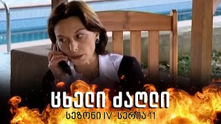 ცხელი ძაღლი  სეზონი 4 სერია 11 [upl. by Seldun968]