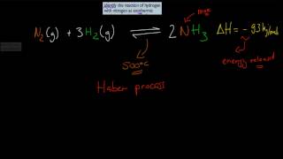 CM24 Production of ammonia  exothermic reaction HSC chemistry [upl. by Sotnas]