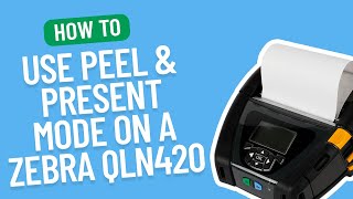 How to Use Peel amp Present Mode on a Zebra QLN420  Smith Corona Labels [upl. by Vesta569]