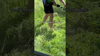 Watch as we tackle tall grass and reclaim our yard one trim at a time Greenworks Trimmer [upl. by Letnwahs435]