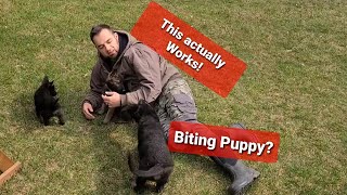 How to stop PUPPY BITING amp NIPPING [upl. by Godfrey]