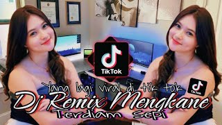 DJ REMIX MENGKANE TERDIAM SEPI SOUND FYP VIRAL TIK TOK TERBARU [upl. by Neelrad]