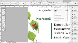 InDesign Tutorial Stellenanzeige für Zeitungen gestalten [upl. by Nosdrahcir]