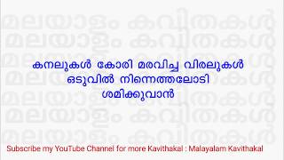 Maranamethunna Nerathu Song with lyrics  മരണമെത്തുന്ന നേരത്ത്  Shahabaz Aman version [upl. by Rudelson880]