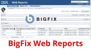 BigFix Web Reports  How to Create Custom Reports  Explained [upl. by Ahsimak]