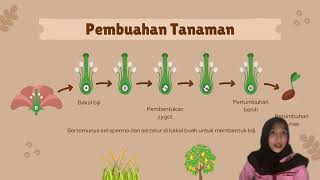 SISTEM REPRODUKSI TUMBUHAN  KELOMPOK 2 PIC [upl. by Petite40]