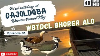 WBTDCL Bhorer Alo Gajoldoba  Gajoldoba Birdwatching Paradise  Dooars Tour  Offbeat North Bengal [upl. by Celestina]