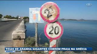 Teias de aranha gigantes cobrem praia na Grécia [upl. by Idhem]