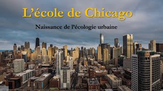 La Sociolinguistique Urbaine 1 Les précurseurs  École de Chicago [upl. by Feriga]