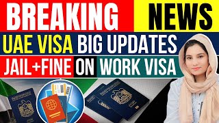 Dubai Work Visa Big Update Jail  Fine Or Deportation  UAE Visa Documents attestation Update today [upl. by Norrehs]