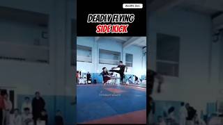 Flying Side Kick Knockout Move for MMA fightersveins workout at home martialarts karate [upl. by Haas]