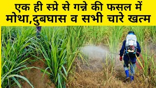 गन्ने के लिए बेस्ट खरपतवार नाशक दवा  ganne me kharpatwaar nashak dawa  sugarcane herbicide  us [upl. by Katina]