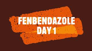 Fenbendazole Day 1 of Week 1 an experiment by a noncancer person [upl. by Nonnel]