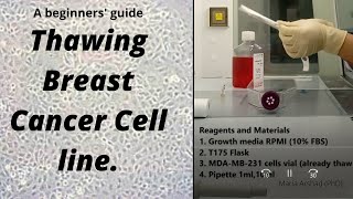 Thawing Breast Cancer cell line A beginners guide step by step [upl. by Tterb]