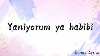 Yaniyorum Ya Habibi TikTok Song lyrics [upl. by Yremogtnom]