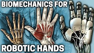 Biomechanics of the CMC Joint for Bionic Hands  Biomimetic Mechatronic Hand Part 4 [upl. by Gent]