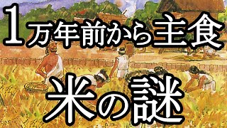 【ゆっくり解説】縄文時代からすでに米を食べていた！？お米の歴史と稲作伝来の謎に迫る！ [upl. by Nealey900]