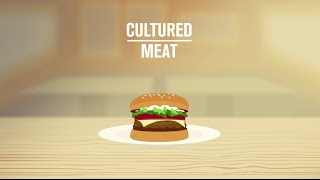 Meat Culture [upl. by Mareah]