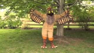 Potoo Bird Dance [upl. by Anirdna657]