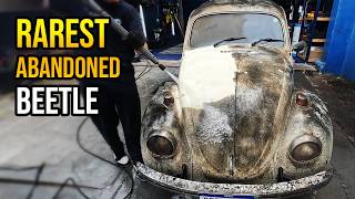 THIS IS THE WORLD’S RAREST BEETLE  CAR WASHING [upl. by Moskow]