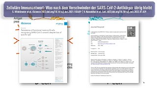 Zelluläre Immunantwort Was nach dem Verschwinden der SARSCoV­2Antikörper übrig bleibt [upl. by Natal390]