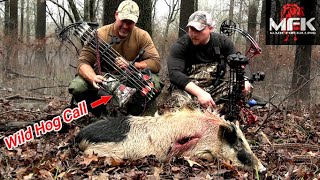 Calling BIG Groups of CHARGING Wild HOGS Hog Hunting  Bow Hunting S10E11 [upl. by Ahsiea755]