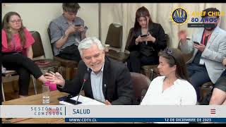 Presidente ANEF expone en Comisión de Salud por reajuste general [upl. by Phaih]