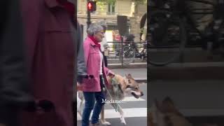 Anciana paseando un lobo en Paris shorts [upl. by Hteazile]