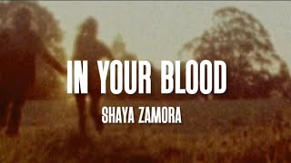 Shaya Zamora  In your Blood  Lyrics  unreleased song [upl. by Dehnel]