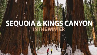 ULTIMATE WINTER SEQUOIA AND KINGS CANYON NATIONAL PARK TRAVEL GUIDE  Hikes What to Bring Closures [upl. by Liahkim]