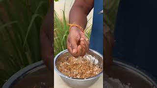 Soybean ko banaye fast food food foodrangers rangerscookingshow [upl. by Aehtla]