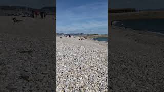 View from Monmouth Beach Lyme Regis Dorset [upl. by Mauro]