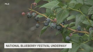 Blueberry Festival returns to South Haven [upl. by Nnylesor]