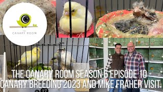 The Canary Room Season 6 Episode 10  Back in the Room and the Bird Room of Mike Fraher [upl. by Derrej]