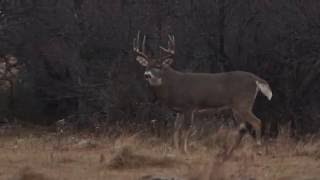 Heartland Bowhunter  Central Dakota Bucks  Outdoor Channel [upl. by Reifnnej127]