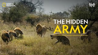 The Hidden Army  Savage Kingdom  हिन्दी  Full Episode  S3  E1  Nat Geo Wild [upl. by Nivra]