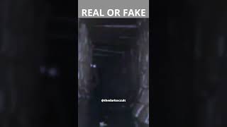 Loveland Frog New Incredible Footage Real or Fake shorts scary paranormal [upl. by Nika]