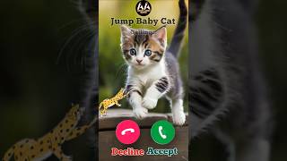 Calling jump baby cat Meow meow meow cat ytshorts arhamaarishquotes shorts viral [upl. by Jueta]